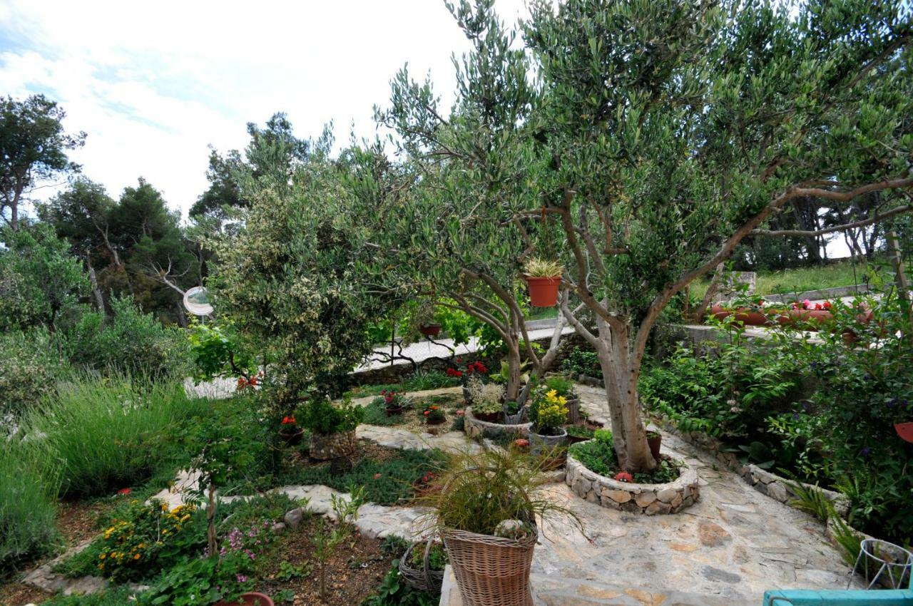 Apartment Sandra Trogir Buitenkant foto
